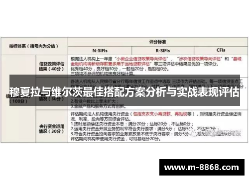 穆夏拉与维尔茨最佳搭配方案分析与实战表现评估