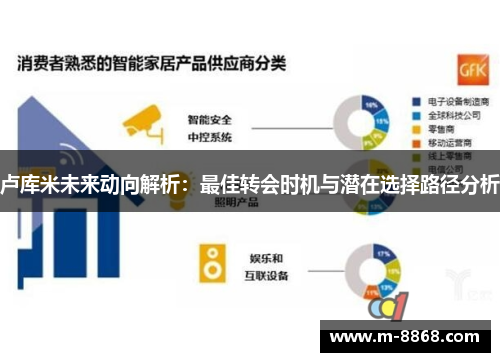 卢库米未来动向解析：最佳转会时机与潜在选择路径分析