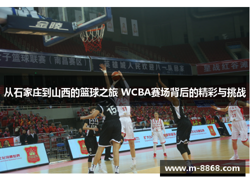 从石家庄到山西的篮球之旅 WCBA赛场背后的精彩与挑战