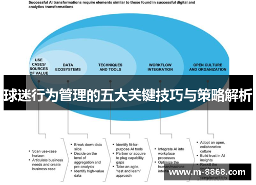 球迷行为管理的五大关键技巧与策略解析