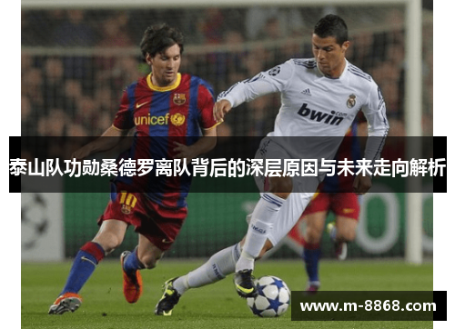 泰山队功勋桑德罗离队背后的深层原因与未来走向解析