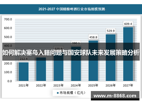 如何解决塞鸟入籍问题与国安球队未来发展策略分析