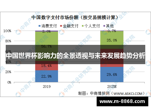 中国世界杯影响力的全景透视与未来发展趋势分析