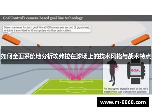 如何全面系统地分析埃弗拉在球场上的技术风格与战术特点